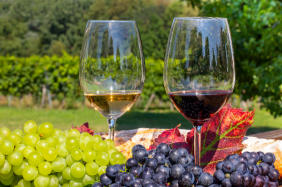 Weintrauben mit Weingläsern dekoriert auf einem Holztisch